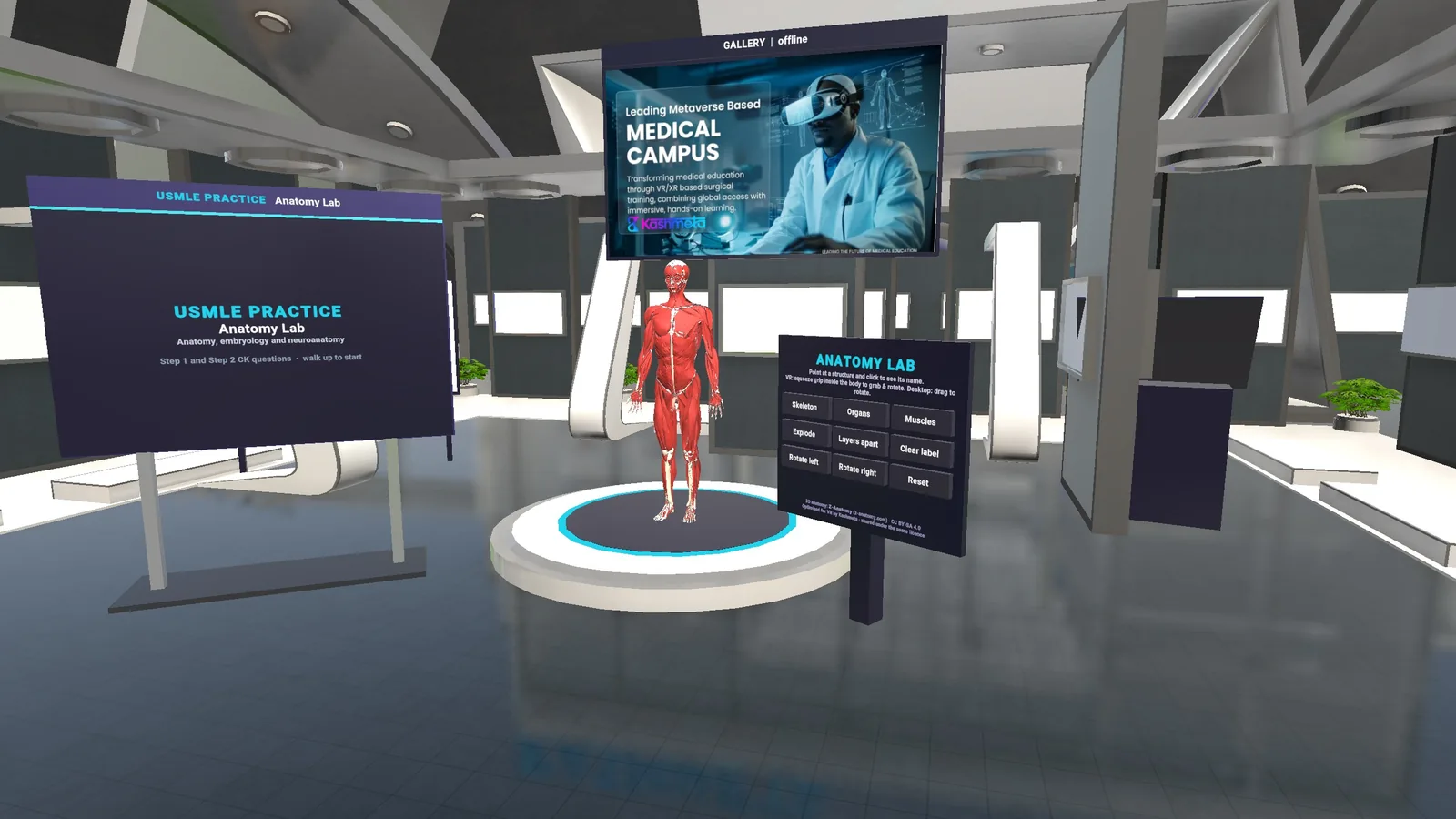 The 3D anatomy lab in the Kashmeta virtual campus